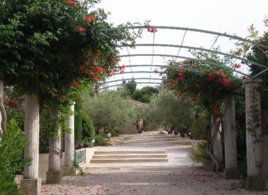 Un Gite En Provence - Les Jardins De Fontanille Saint-Rémy-de-Provence エクステリア 写真