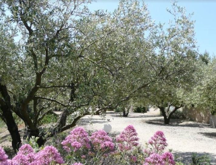 Un Gite En Provence - Les Jardins De Fontanille Saint-Rémy-de-Provence エクステリア 写真
